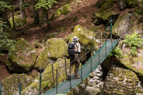 Hängebrücke in Buchberger Leite