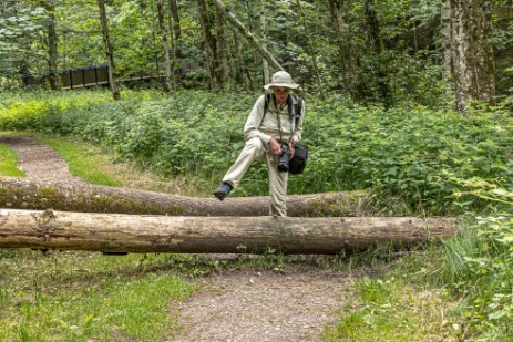 Umgefallene Bäume auf Wanderweg in Buchberger Leite