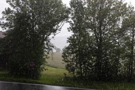 Regen im Bayerischen Wald