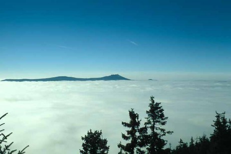 Ausblick vom Großen Falkenstein bei Nebel